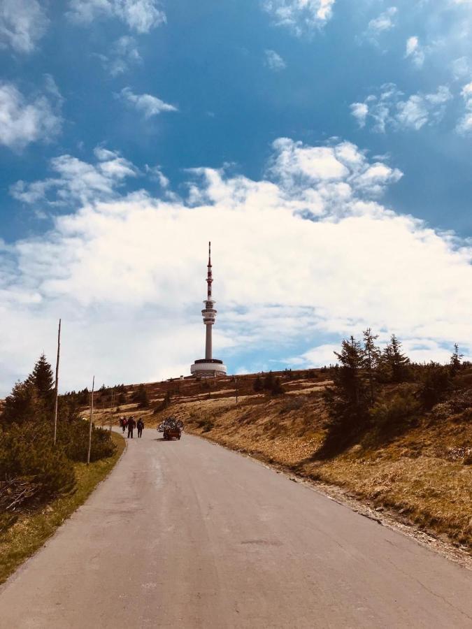 Horske Apartmany Na Pastvinach Vaclavov u Bruntalu エクステリア 写真